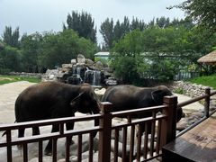 -北京野生动物园