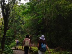 -广州白江湖森林公园