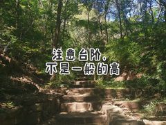 -老象峰