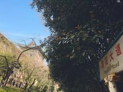 -武汉大学-樱园