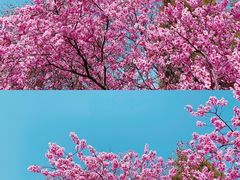 -滨河世纪广场公园