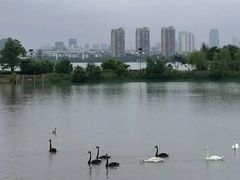 -艾溪湖湿地公园