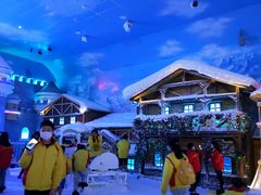 -世界之窗阿尔卑斯冰雪世界
