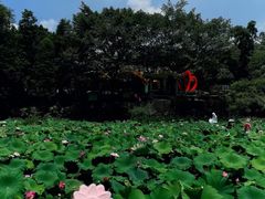 -广州莲花山旅游区