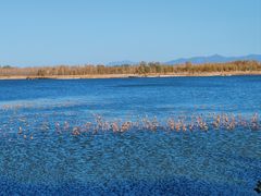 -野鸭湖国家湿地公园
