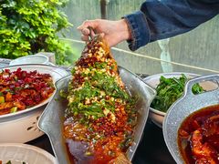 -树厨贵州菜(铜仁花果山店)