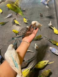 -酷嗒动物文化乐园(cutezoo西溪乐天城店)