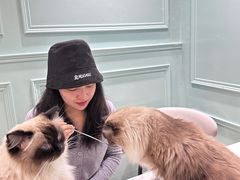 -安格丽娜·狗咖·猫咖羊驼咖(春熙路百盛商场店)