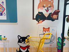 -柴犬高等学院·狗咖·柴犬售卖·宠物训练