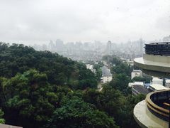 -金鸡山公园