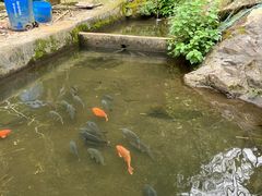 -途中饭店(开化店)