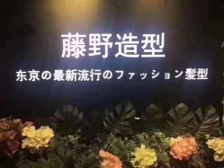 点击看大图 -藤野造型