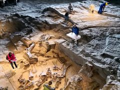 -自贡恐龙博物馆