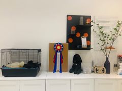 -米宠家·撸猫猫咖小萌宠·猫咪洗澡·猫咪寄养(高新大都荟店)