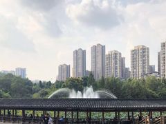 -龙头寺公园