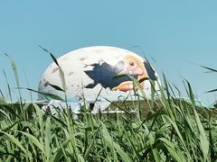 -黑龙江扎龙生态旅游区