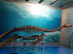 -自贡恐龙博物馆