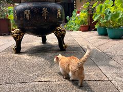 -无锡梅园公园