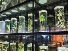 -广东中医药博物馆