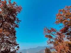 -广州市石门国家森林公园