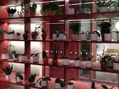 -二酉书店TOYOU BOOKS