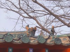 -包公祠