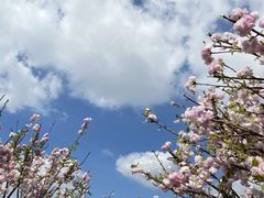 -观澜湖生态运动公社