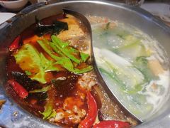 火锅-彤德莱火锅(乐陵路店)