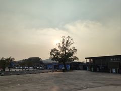 -上海月湖雕塑公园