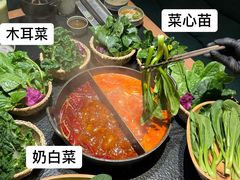 -大龙燚·旷野鲜火锅(广州首店)
