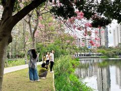 -四海公园(南山区)