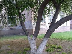 -辽宁大学(崇山校区)
