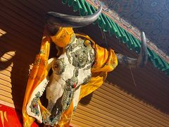 -吉祥圣雪藏餐
