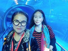 -太平洋海底世界