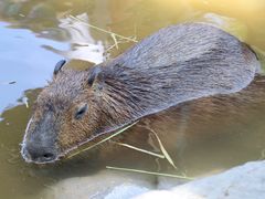 -上海野生动物园