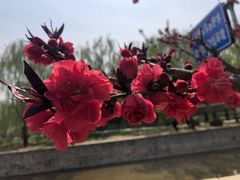 -海棠花溪(元大都城垣遗址公园)