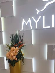 -深圳美莱医疗美容医院