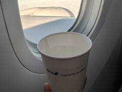 -全日本空输株式会社(上海办事处)