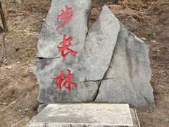 -北京十三陵国家森林公园蟒山景区