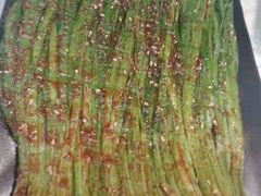 -雅逸居海鲜小厨