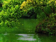 -西溪国家湿地公园