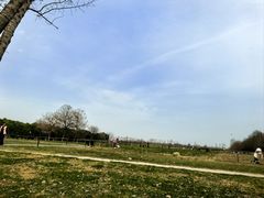 -汉长安城未央宫国家考古遗址公园