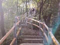 -商洛老君山旅游风景区