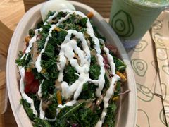 -油梨树AVOCADO TREE(望京店)