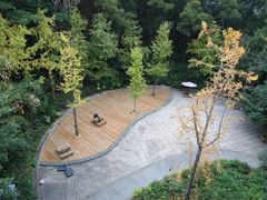 -金鸡山公园