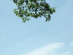 -罗田天堂寨风景区