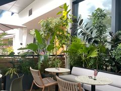 -gaga(深圳南山益田假日广场店)
