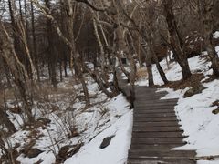 -白草畔自然风景区