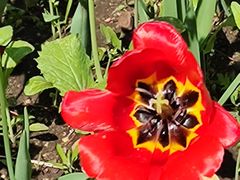 -长春公园(普阳街道)