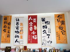 -美迦爱-牙专科·兔科·骨科诊疗中心(北苑店)